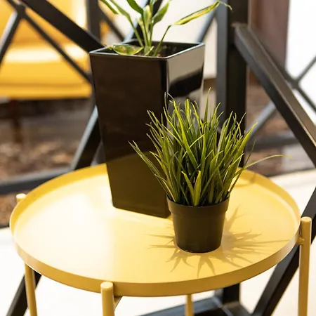 Garni House 46 3* Belgrad