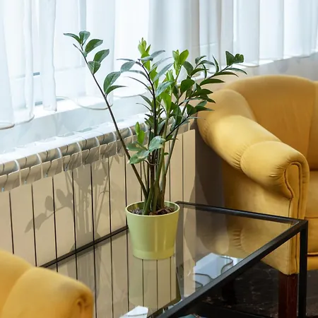 Garni House 46 Bed & Breakfast Belgrade